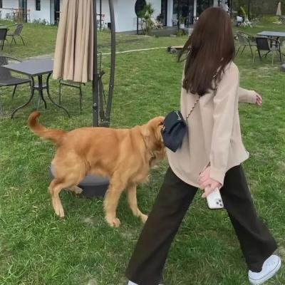 血薄荷