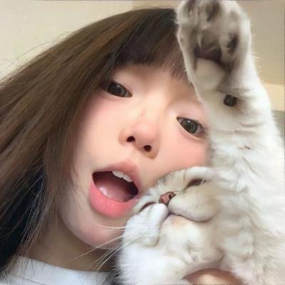 青云志